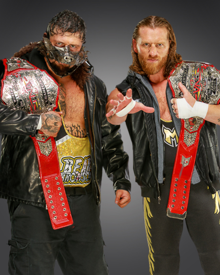 The System - TNA World Tag Team Champions